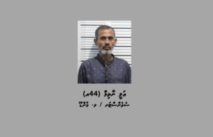 ފޮށިން ފައިސާ ފެނުނު ނަމަވެސް، އެއީ ވަގަށް ނެގި ފޮށި ނޫން ކަމަށް ކޯޓުގައި ބުނެފި