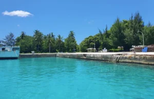 ފުނައްޑޫގެ މަސް ފެކްޓްރީ ޑިސެމްބަރު މަހު ހުޅުވަނީ