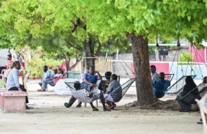 ވޭތުވެދިޔަ އަހަރު ރާއްޖޭގައި 5625 ކުދިން އުފަންވެ، 1399 މީހުން ނިޔާވި