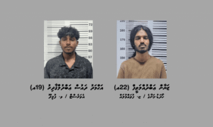 މާލެއިން ދެ ޒުވާނަކު 48 ގުރާމުގެ މަސްތުވާތަކެއްޗާއެކު ހައްޔަރުކޮށްފި