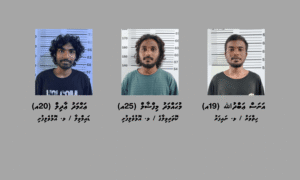 މަސްތުވާތަކެތީގެ މައްސަލައެއްގައި ޅ. އަތޮޅުގެ ތިން ޒުވާނަކު ބަންދަށް