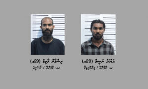 17.7 ކިލޯގެ މަސްތުވާތަކެއްޗާއެކު ޑްރަގް ނެޓްވޯކެއްގެ އިސް ދެ މީހަކު ހައްޔަރަށް