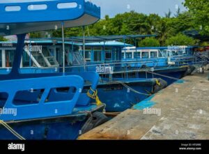 ވިލިމާލެ ފަޅުގައި ޤަވާއިދާ ޚިލާފަށް ބެހެއްޓި 12 އުޅަނދެއް ޖޫރިމަނާކޮށްފި