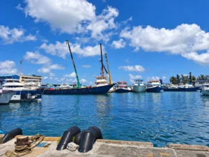 ނޮވެމްބަރު 1 ން ފެށިގެން ބަރުމަރުކާ ނެތް އުޅަނދުތަކަށް ޓީ-ޖެޓީއަށް ނުވަދެވޭނެ