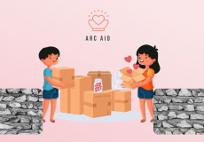 Arc-aid-BML