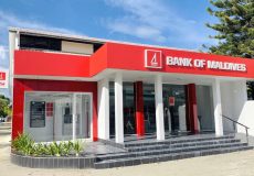 BML-Mulee-branch