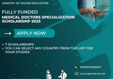 Doctors scholorship