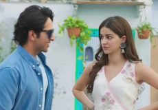 Dream Girl 2 Ananya Panday Ayushmann Khurrana