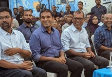 ޑިމޮކްރެޓްސްގެ ޖަލްސާއެއް.