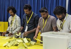 MDP Primary