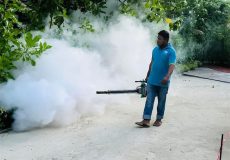 Male City Fog