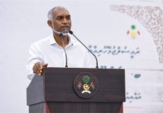 Muizzu in R