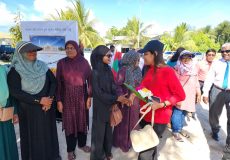 Rozaina addu meedhoo dathuru