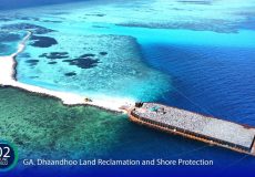 dhaandhoo