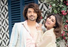 gurmeet-choudhary-and-debina-bonnerjee