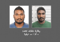 ibrahim-abdulla-792278a673-876x619-1