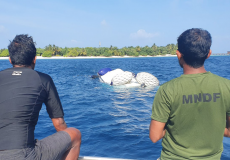 lounch-bandun-jehun-MNDF