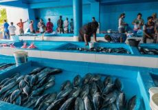 male-maldives-fish-market-576x384 (1)