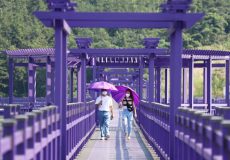 purple-island-2